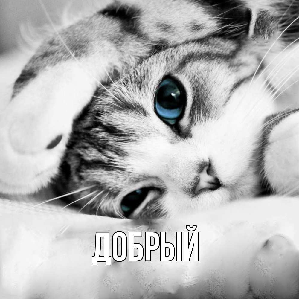 Открытка  с именем. Добрый, Главная  