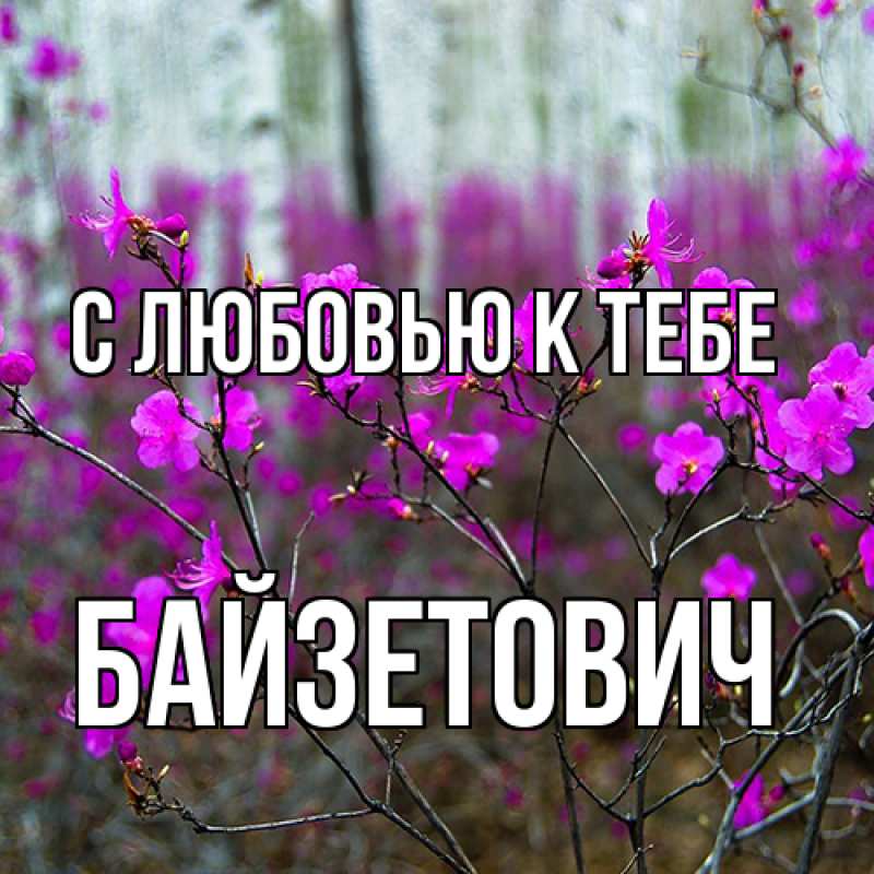 Картинка С любовью к тебе, Байзетович