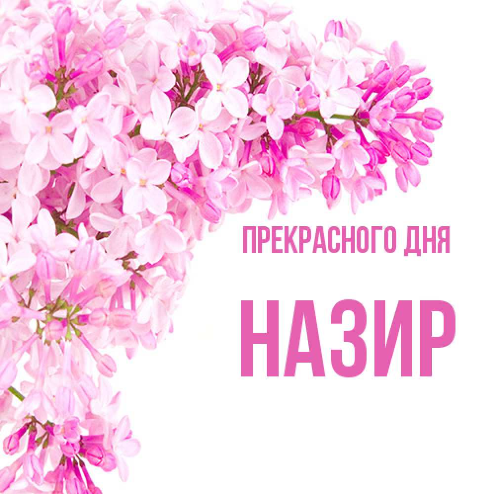 Открытка  с именем. Назир, Прекрасного дня  
