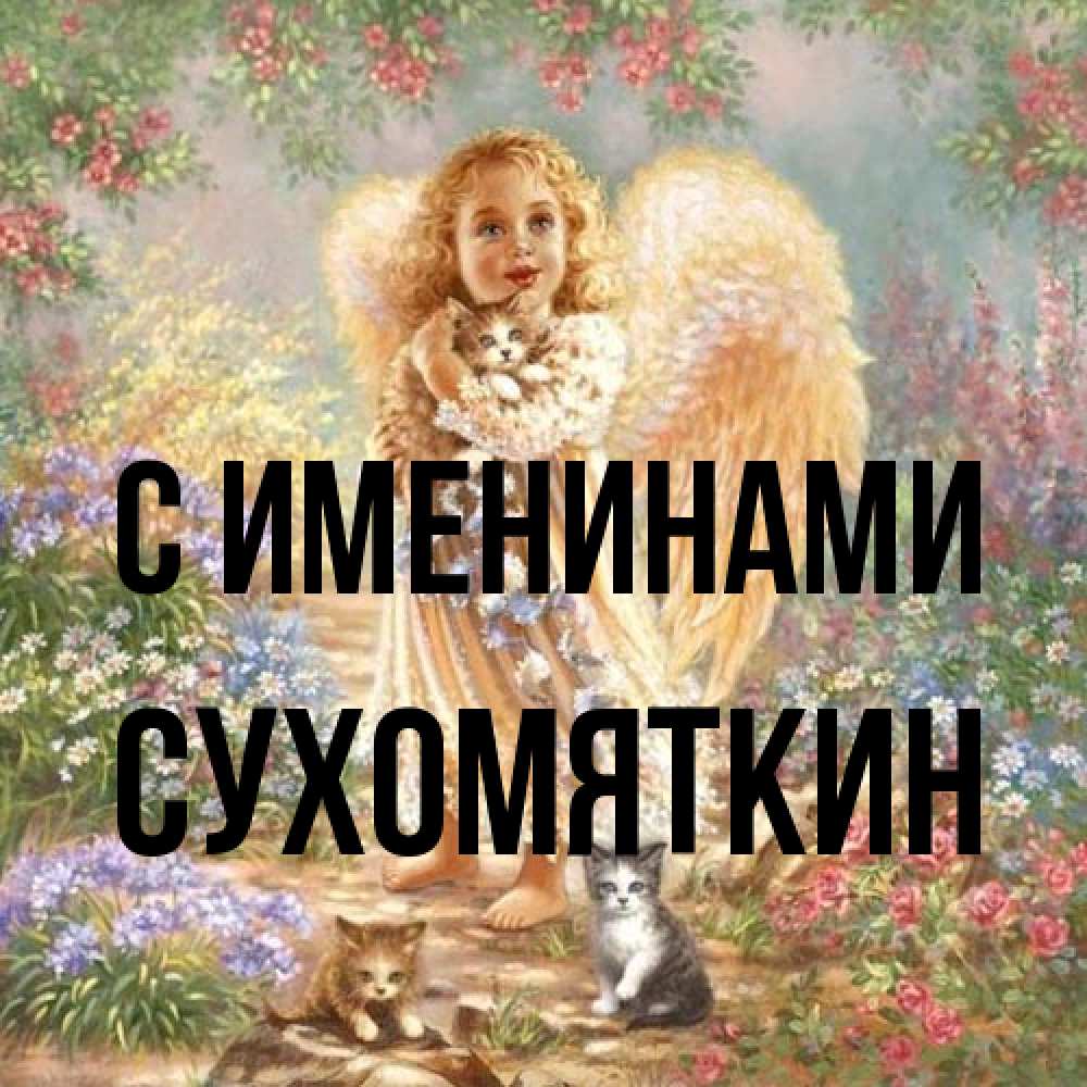 Открытка  с именем. Сухомяткин, С именинами  