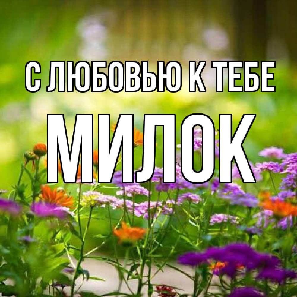 Открытка  с именем. Милок, С любовью к тебе  