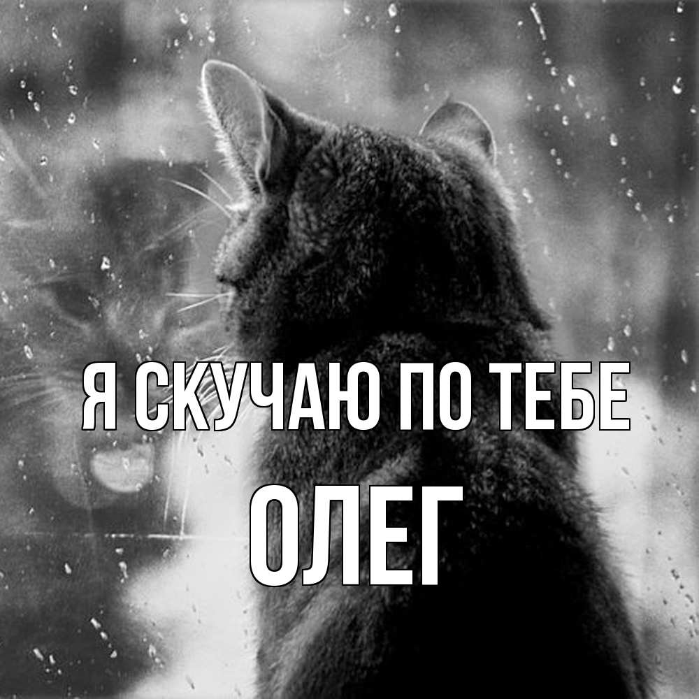 Открытка  с именем. олег, Я скучаю по тебе  