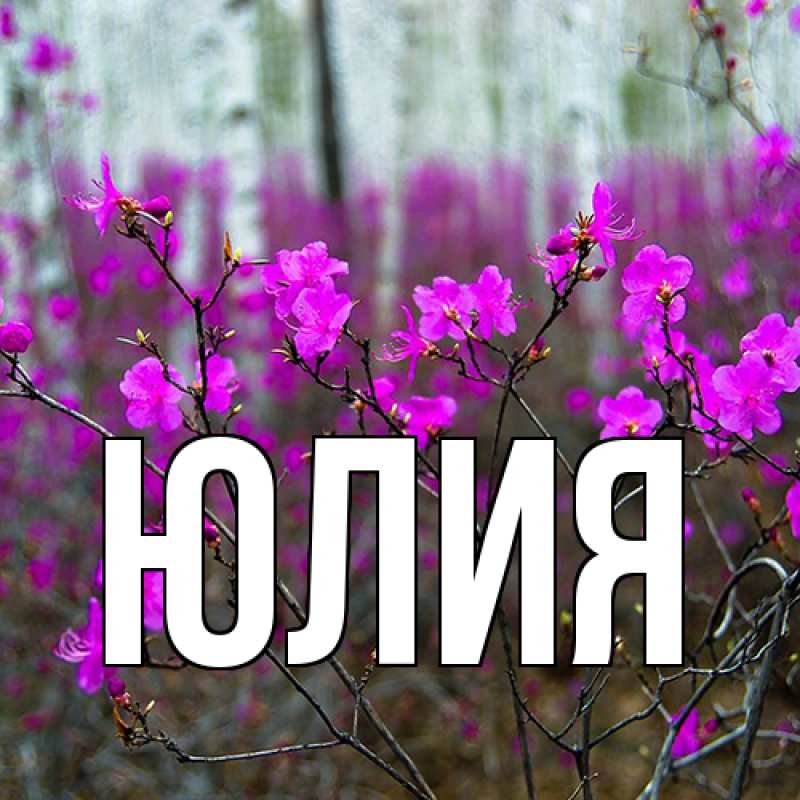 Картинка  с именем , Юлия