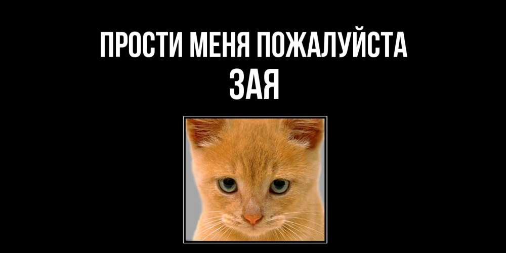 Открытка  с именем. Зая, Прости меня пожалуйста  