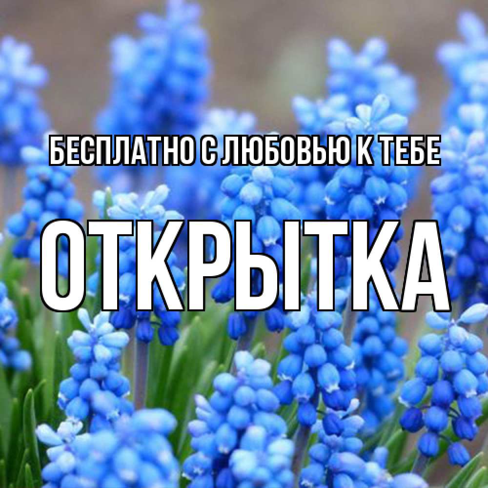 Открытка  с именем. открытка, С любовью к тебе  