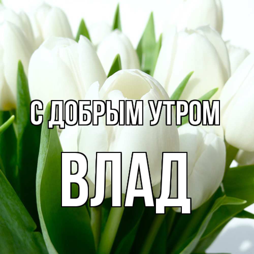 Открытка  с именем. Влад, С добрым утром  