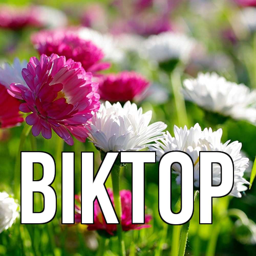 Открытка  с именем. Віктор, Главная  
