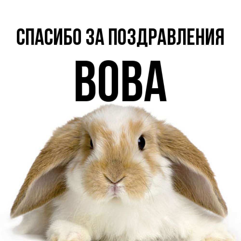 Открытка  с именем. Вова, Спасибо за поздравления  