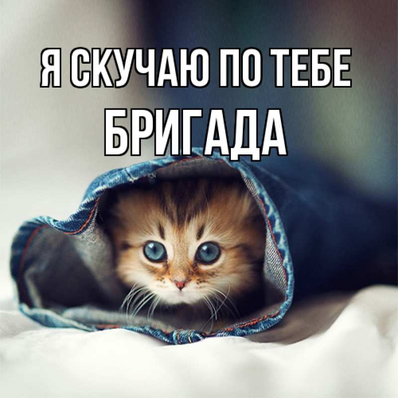 Картинка Я скучаю по тебе, Бригада