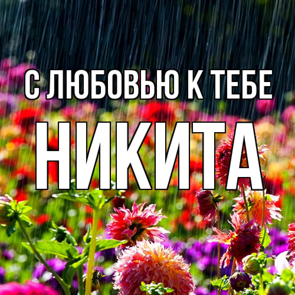 Открытка  с именем. Никита, С любовью к тебе  