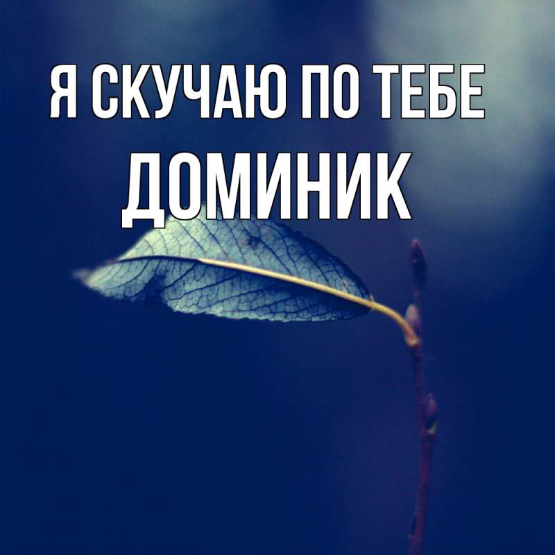 Картинка Я скучаю по тебе, Доминик