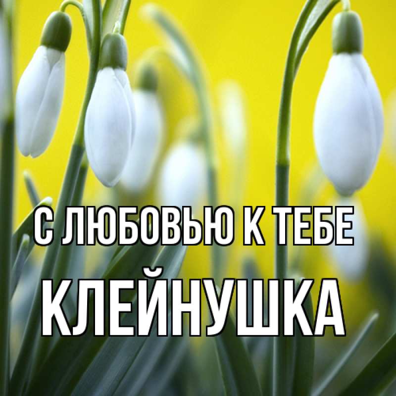 Картинка С любовью к тебе, Клейнушка