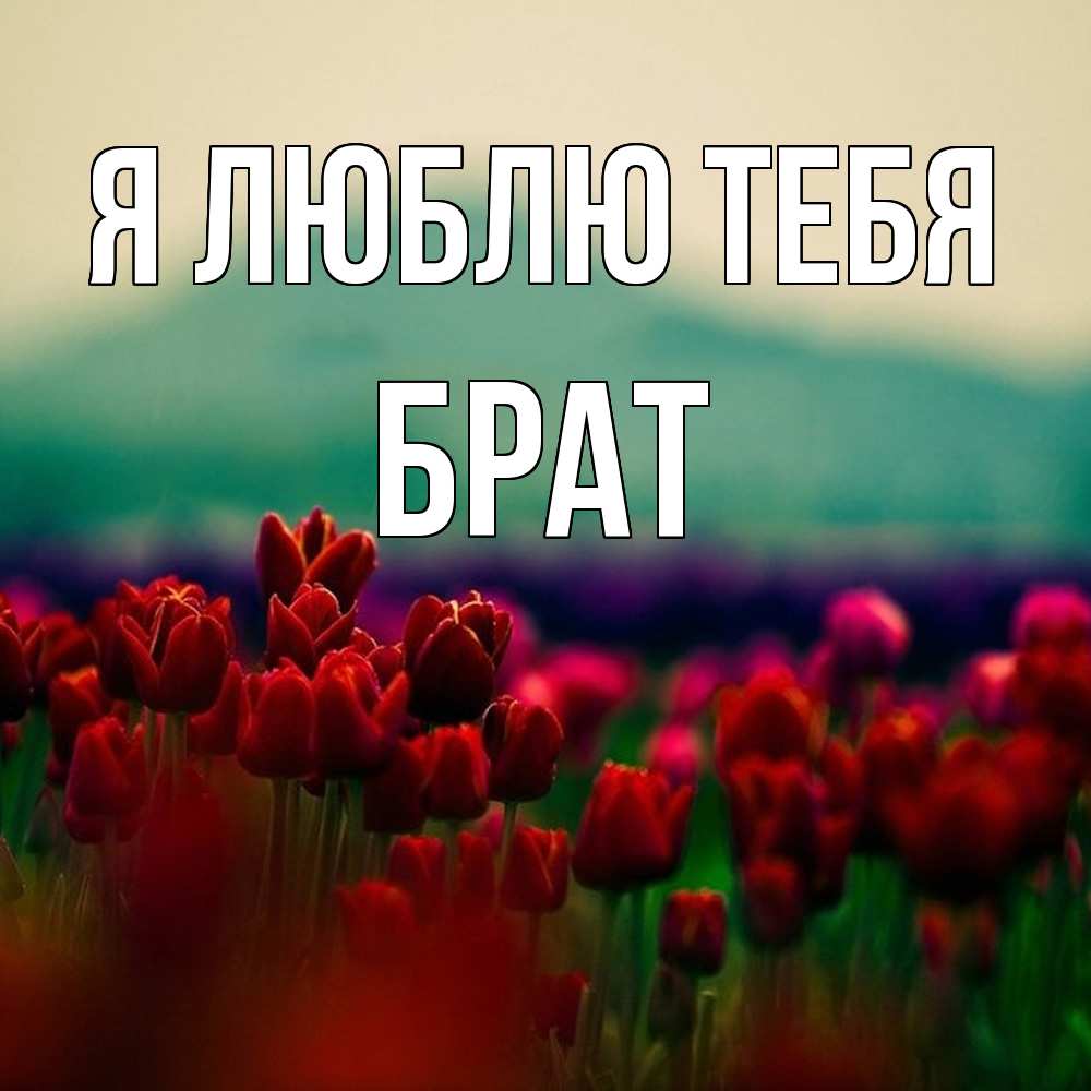 Открытка  с именем. Брат, Я люблю тебя  