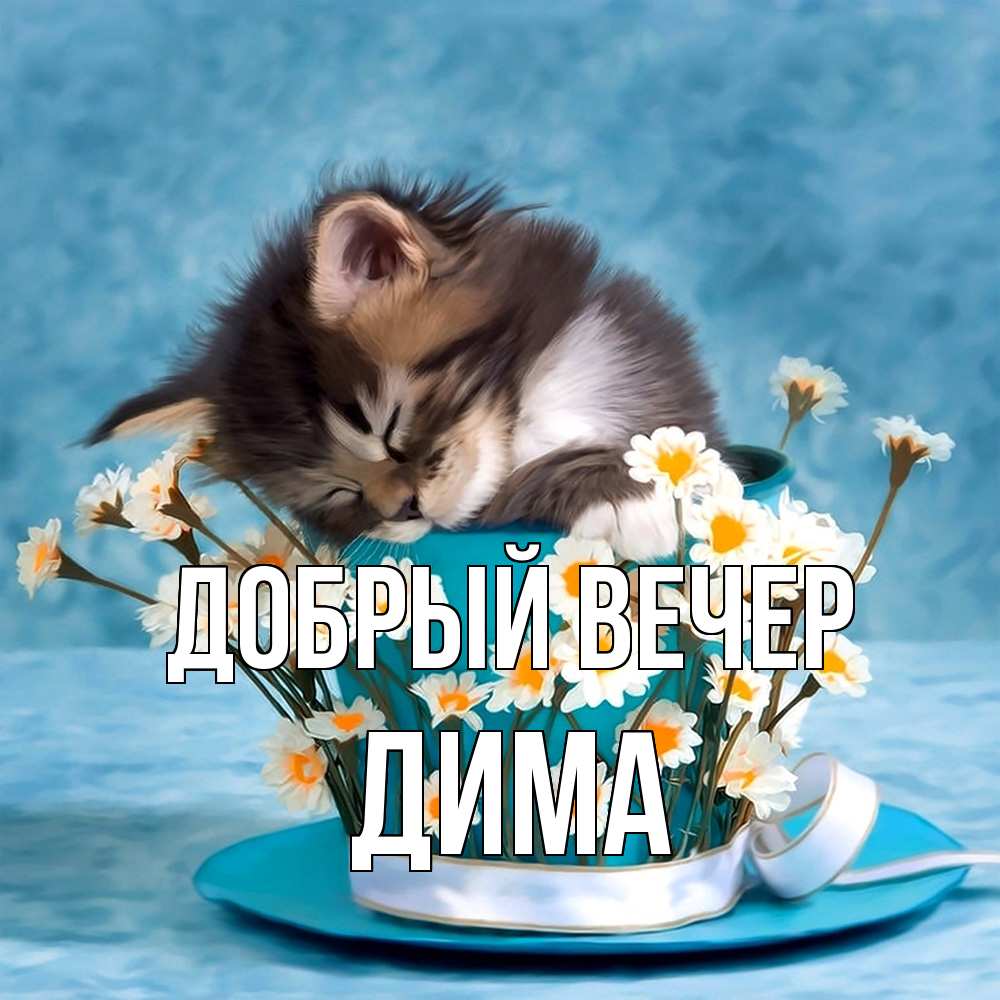 Открытка  с именем. Дима, Добрый вечер  