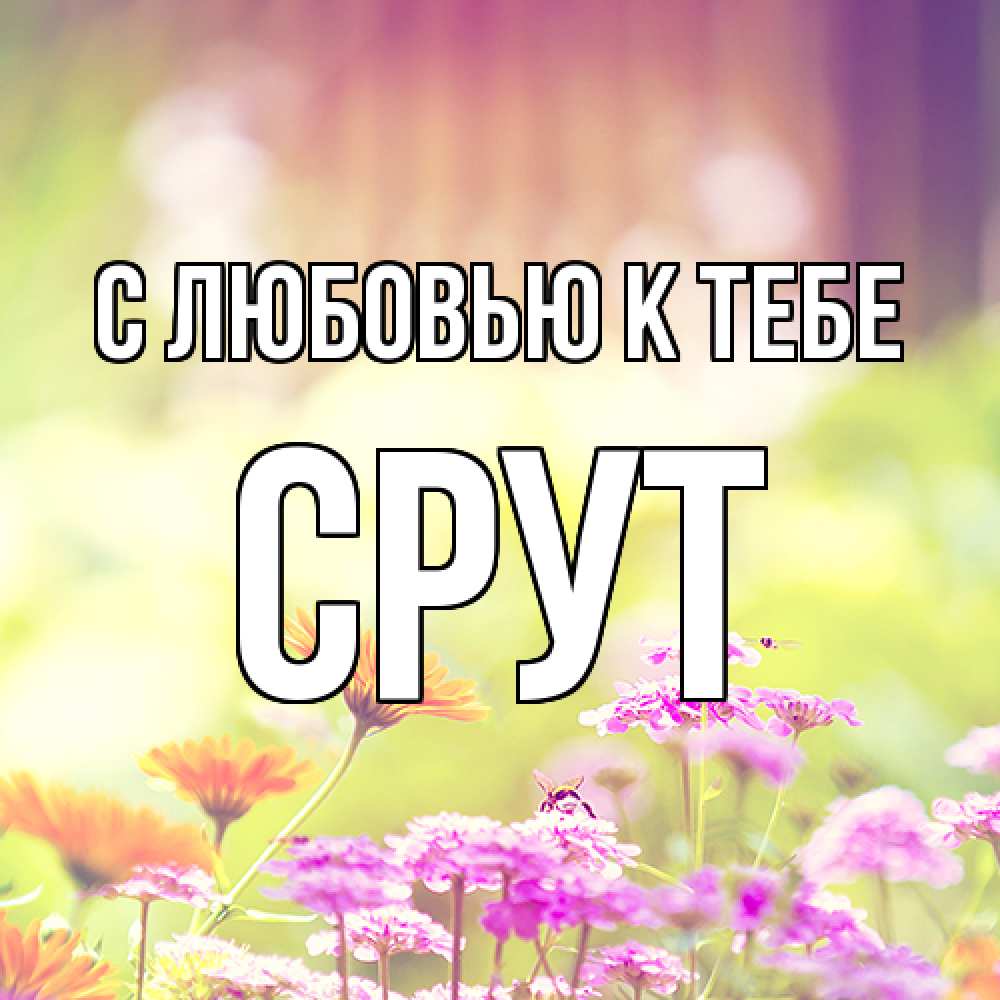 Открытка  с именем. срут, С любовью к тебе  