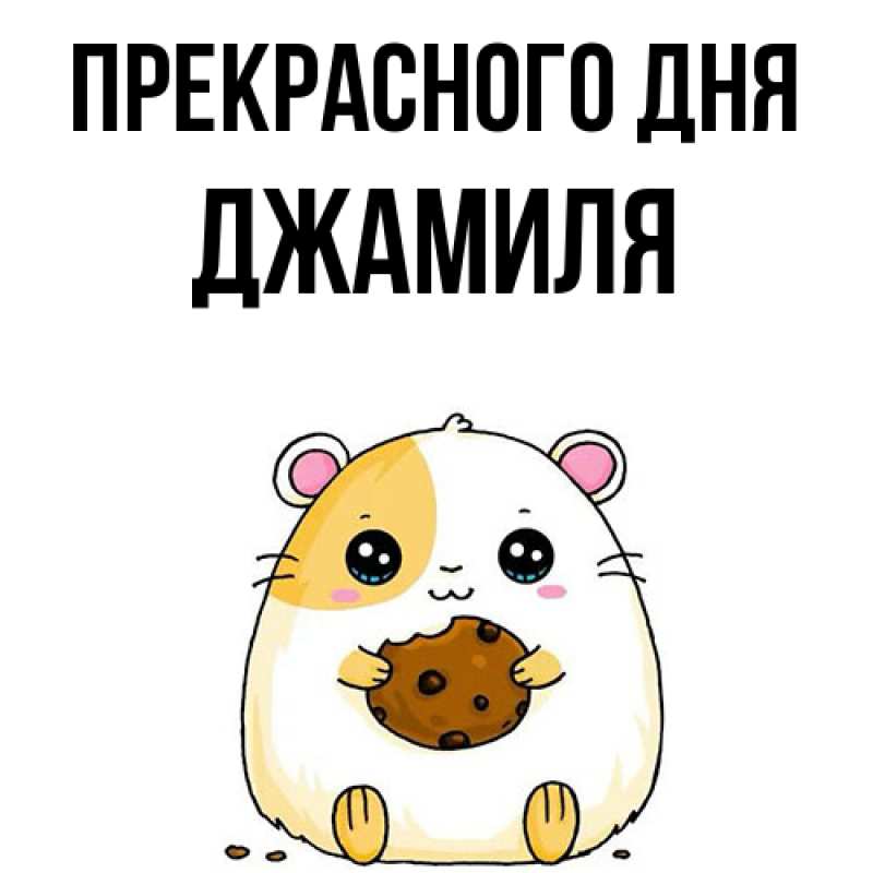Картинка Прекрасного дня, Джамиля