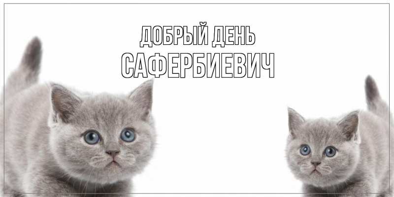 Открытка с именем, Сафербиевич, Добрый день