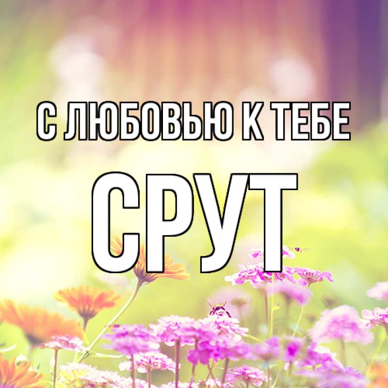 Картинка С любовью к тебе, срут