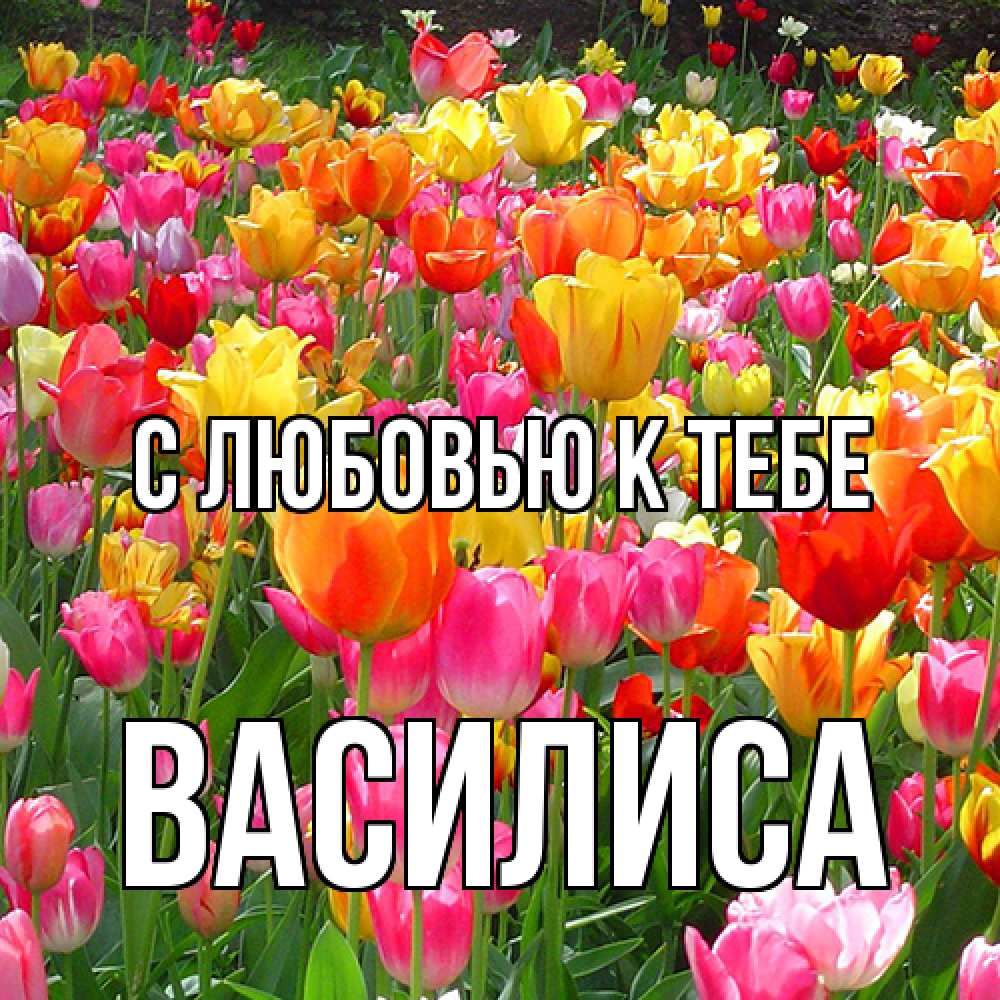 Открытка  с именем. Василиса, С любовью к тебе  