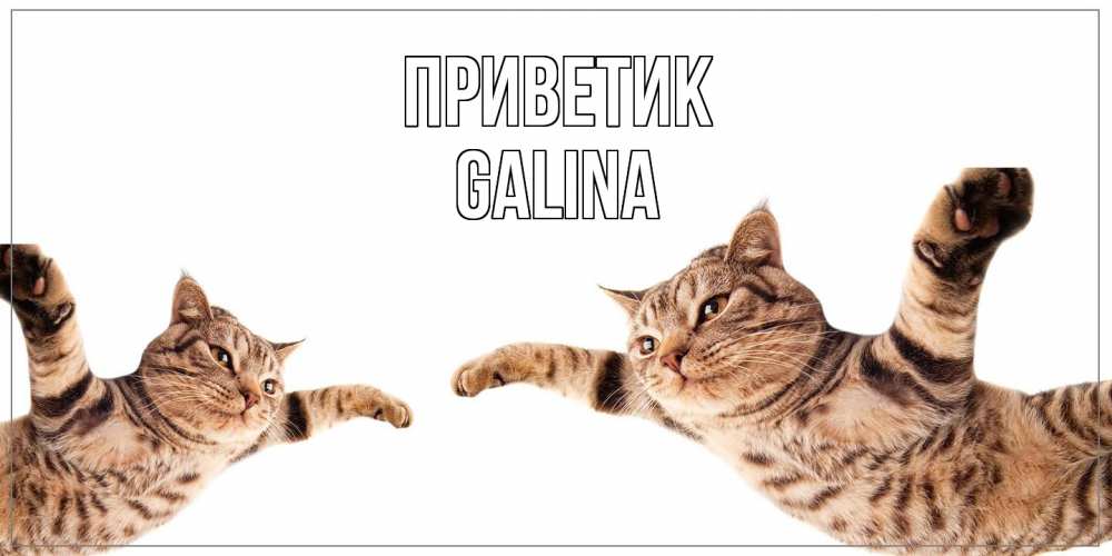 Открытка  с именем. Galina, приветик  