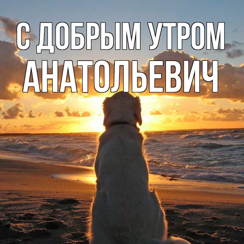 Картинка С добрым утром, Анатольевич