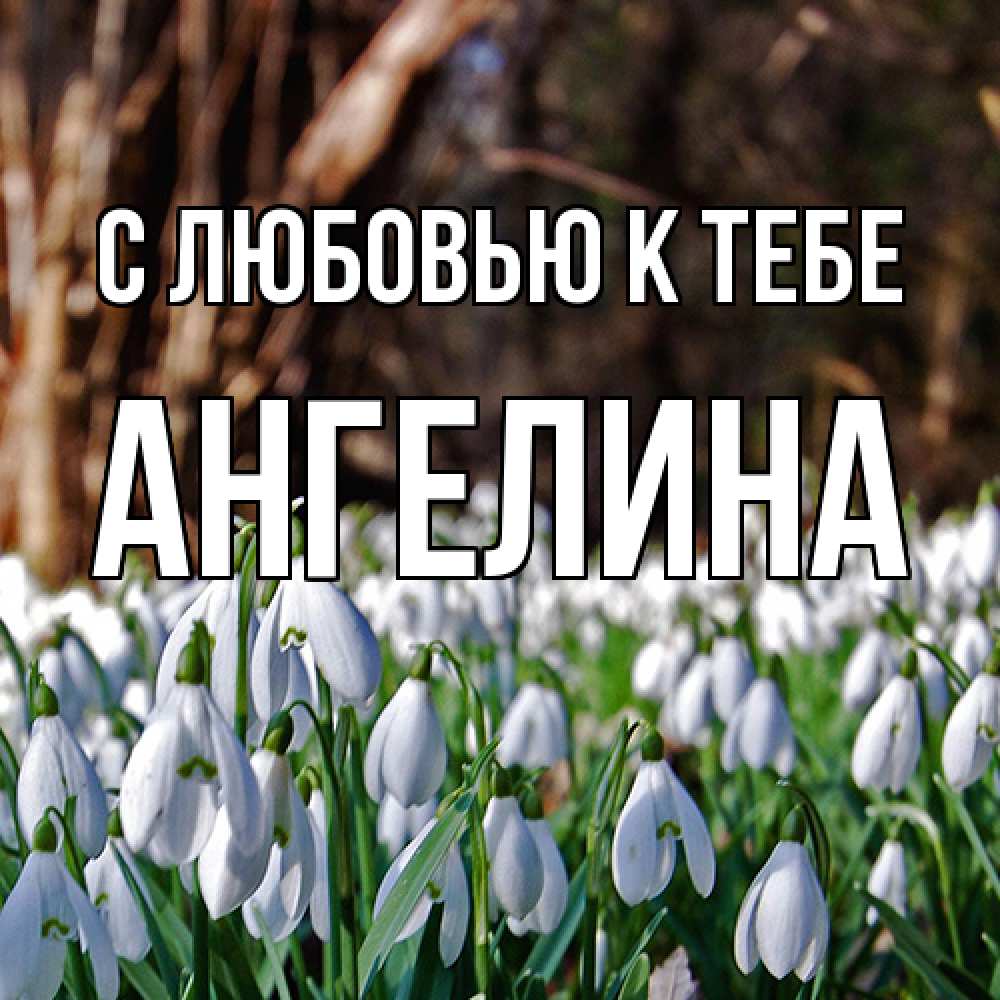 Открытка  с именем. Ангелина, С любовью к тебе  