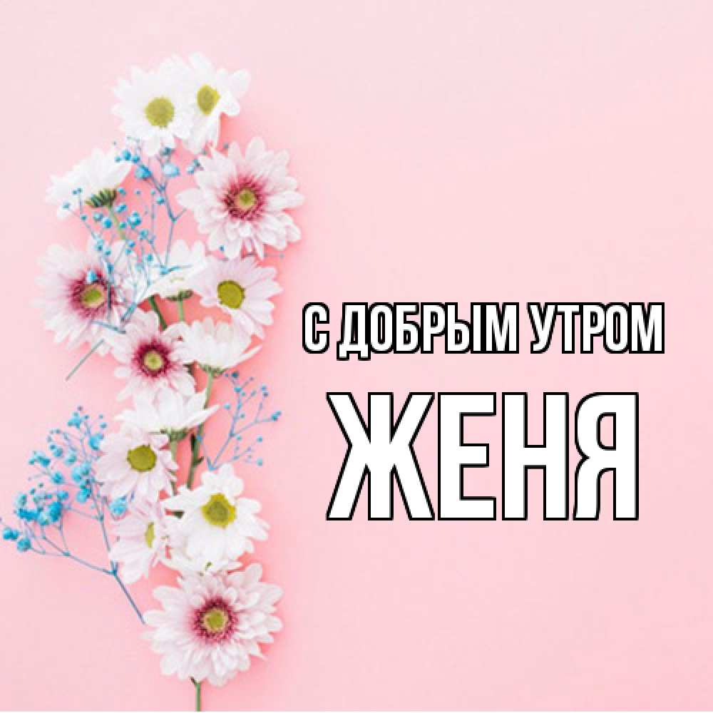 Открытка  с именем. Женя, С добрым утром  