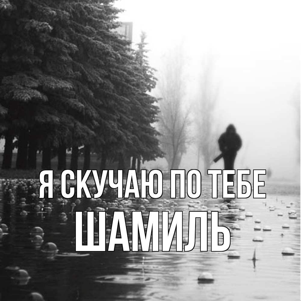 Открытка  с именем. Шамиль, Я скучаю по тебе  