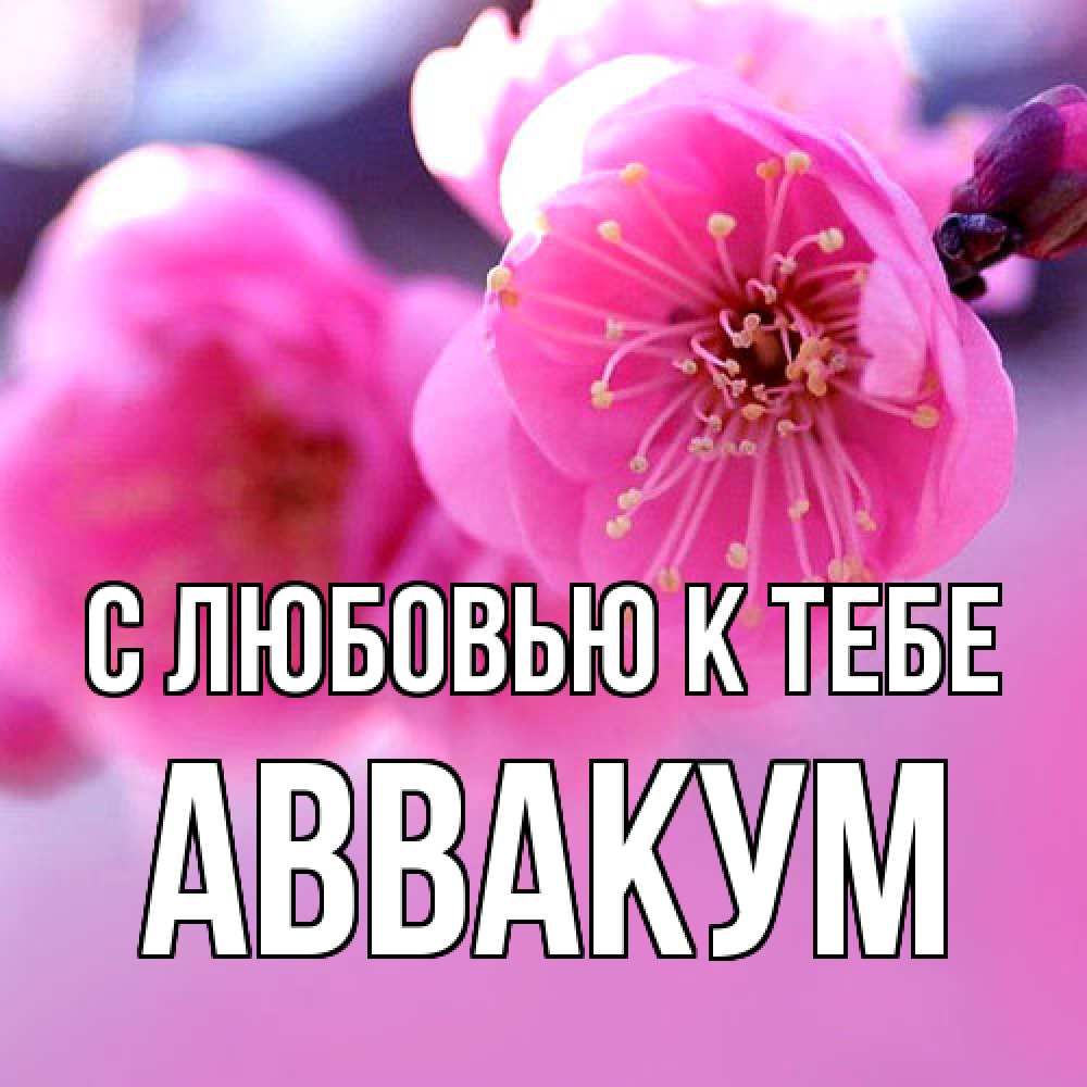 Открытка  с именем. Аввакум, С любовью к тебе  