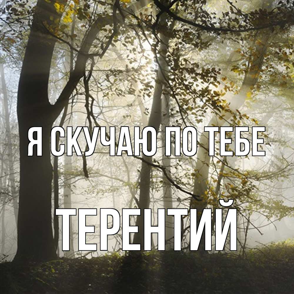 Открытка  с именем. Терентий, Я скучаю по тебе  