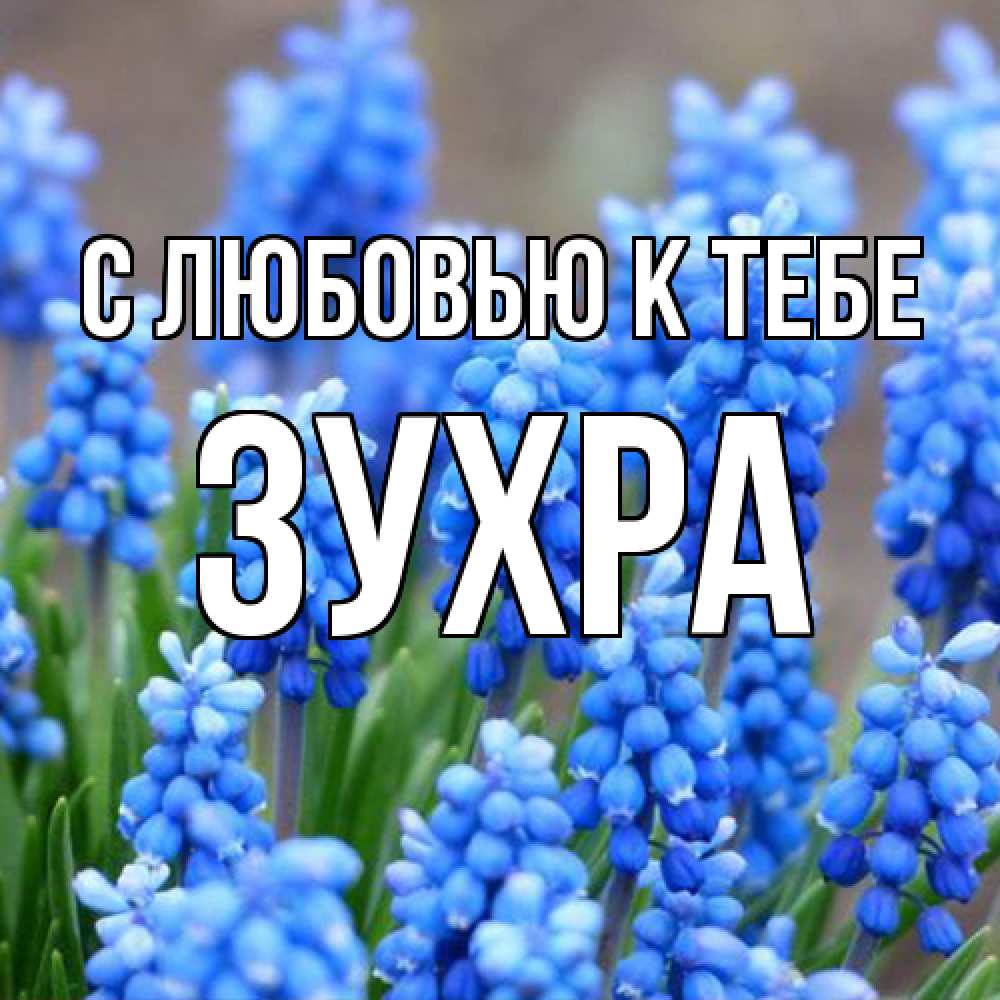 Открытка  с именем. Зухра, С любовью к тебе  