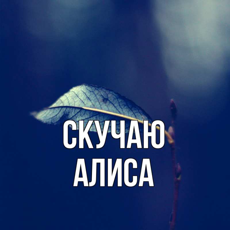 Картинка Скучаю, Алиса