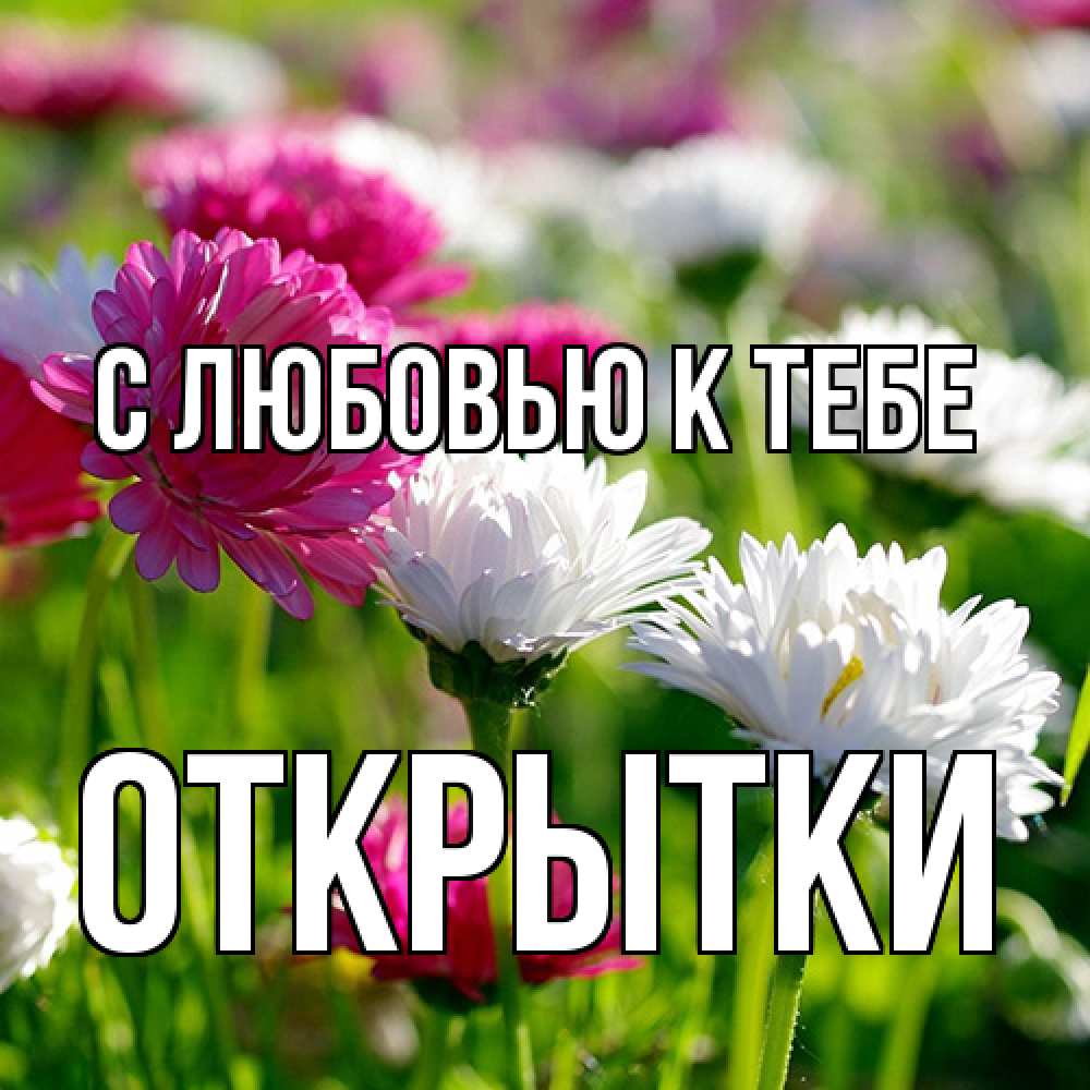 Открытка  с именем. открытки, С любовью к тебе  