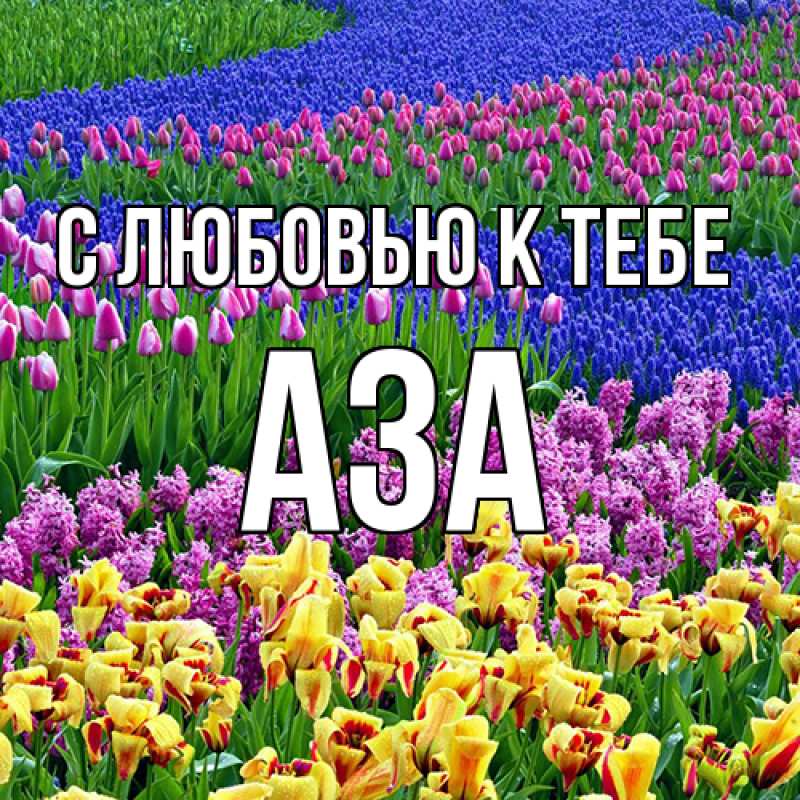 Картинка С любовью к тебе, Аза