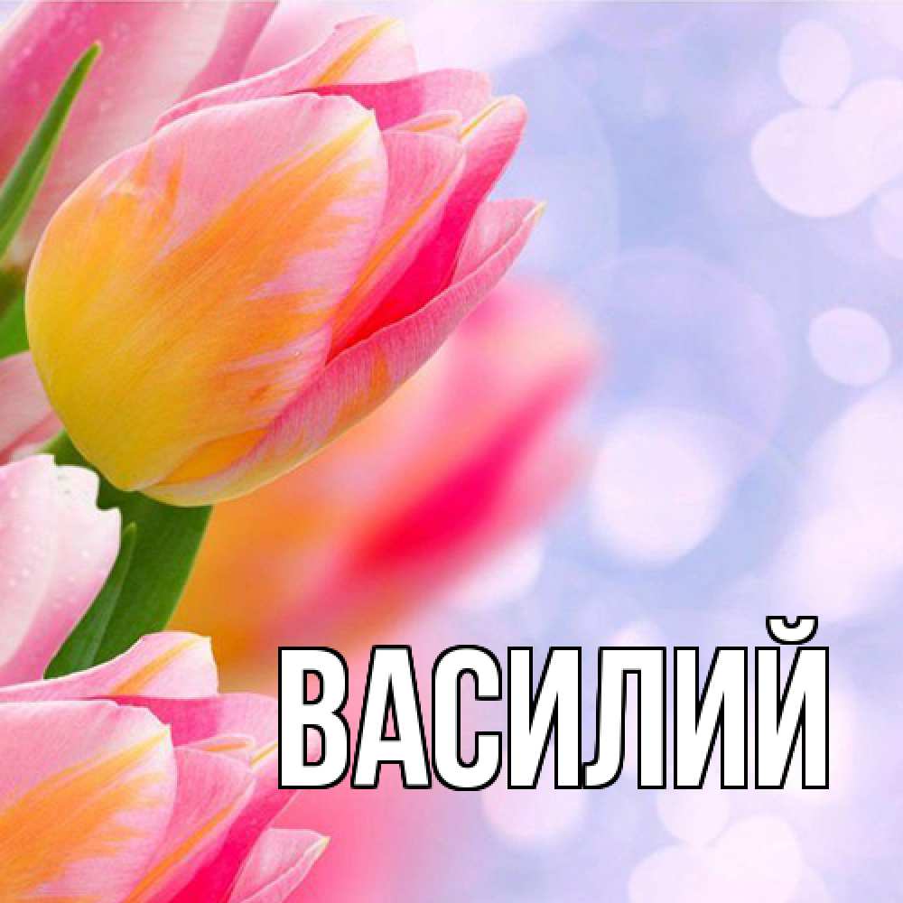 Открытка  с именем. Василий, Главная  