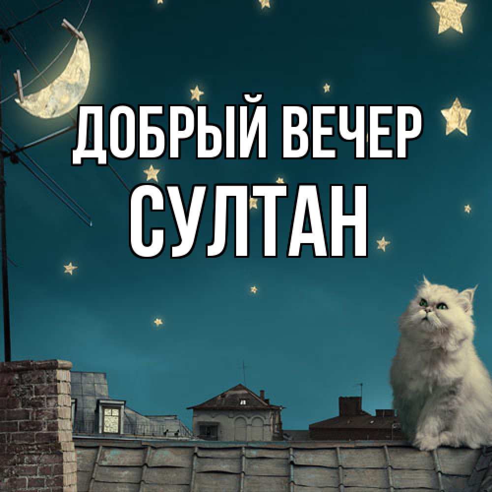Открытка  с именем. Султан, Добрый вечер  