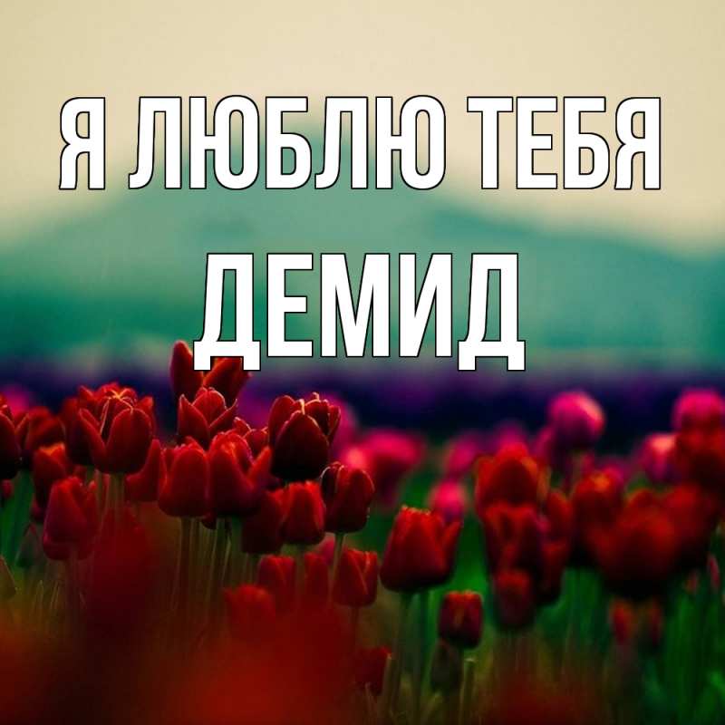 Открытка с именем, Демид, Я люблю тебя