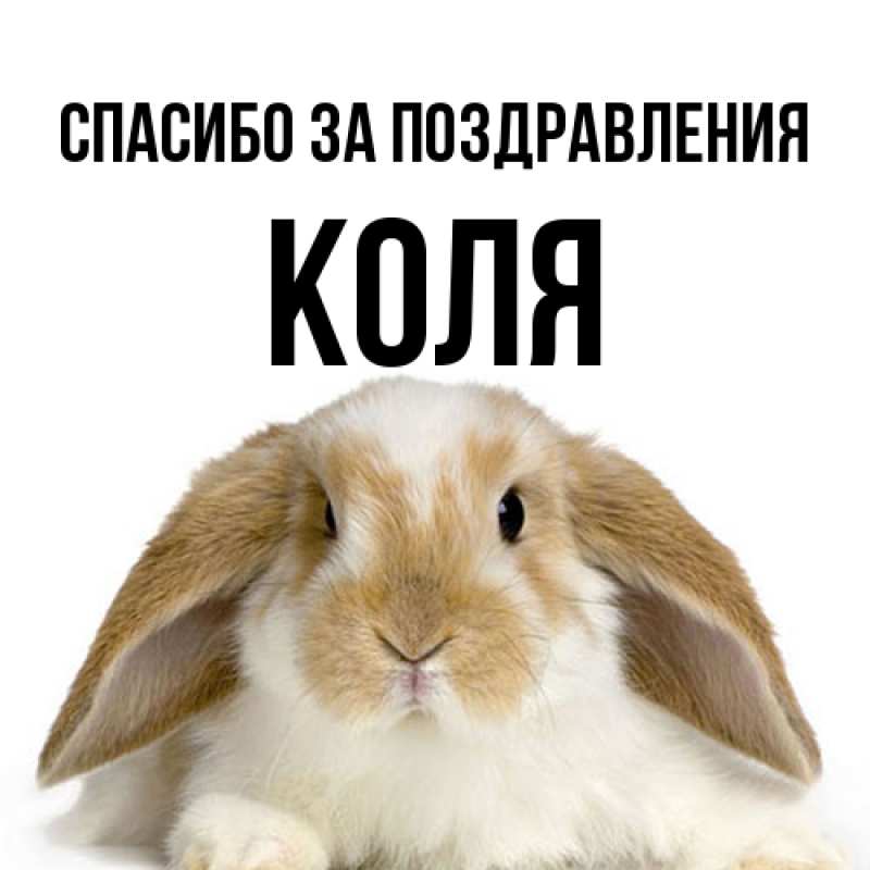 Картинка Спасибо за поздравления, КОЛЯ