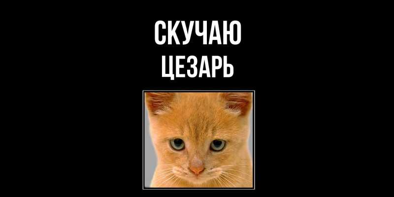 Открытка с именем, Цезарь, Скучаю