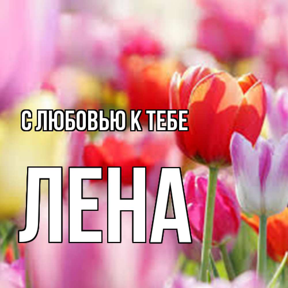 Открытка  с именем. лена, С любовью к тебе  