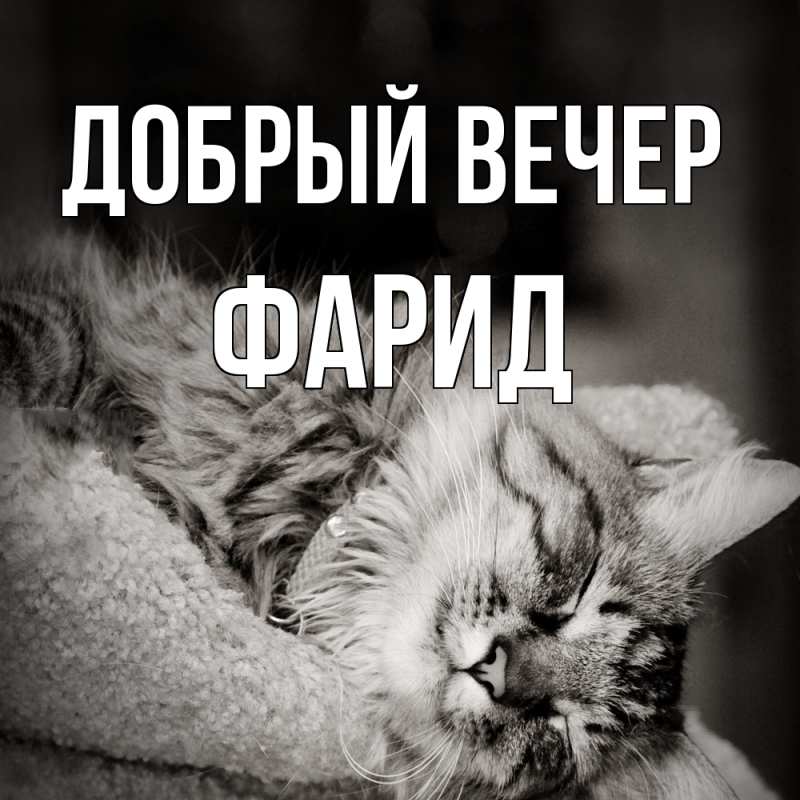 Картинка Добрый вечер, Фарид