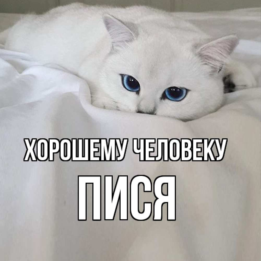 Открытка  с именем. пися, Хорошему человеку  