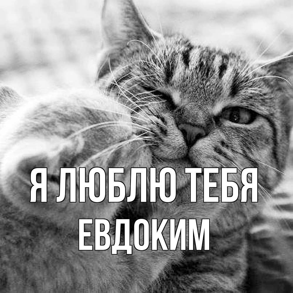 Открытка  с именем. Евдоким, Я люблю тебя  