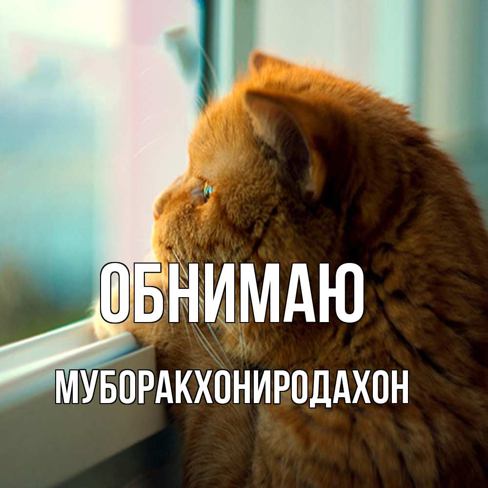 Открытка  с именем. МУБОРАКХОНИРОДАХОН, Обнимаю  