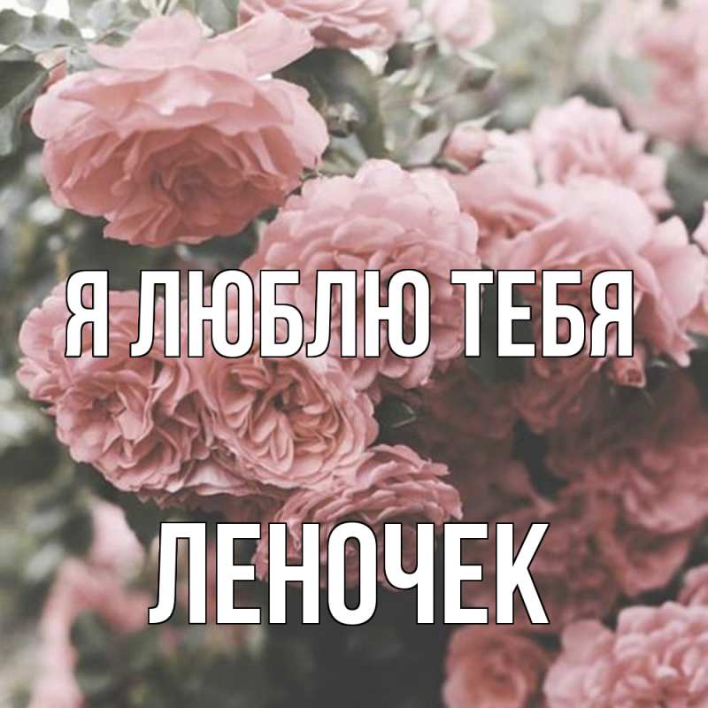 Картинка Я люблю тебя, леночек