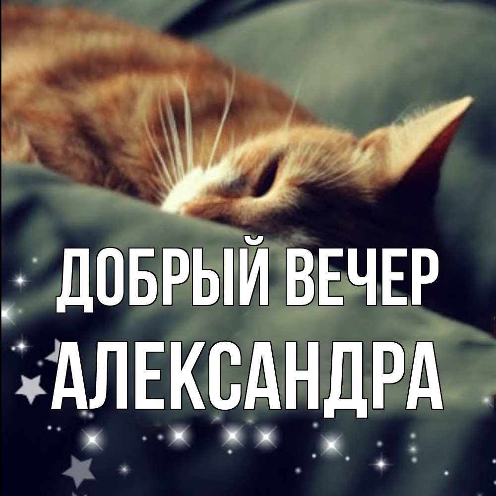 Открытка  с именем. Александра, Добрый вечер  