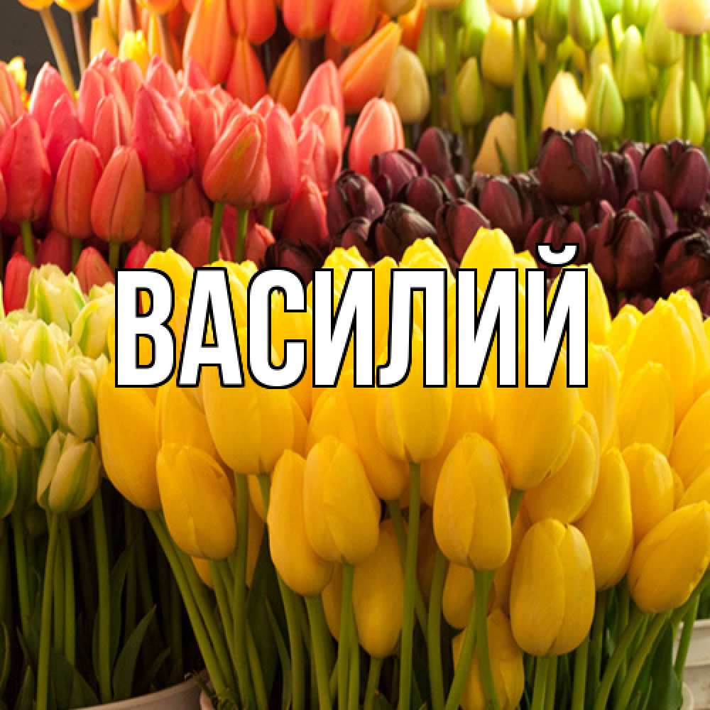 Открытка  с именем. Василий, Главная  