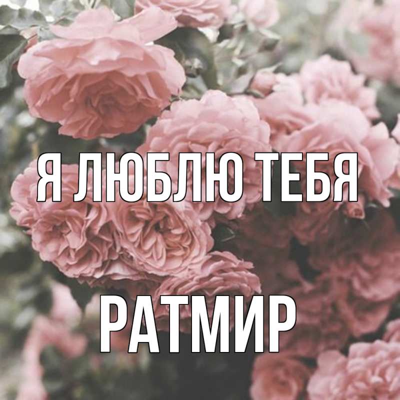 Картинка Я люблю тебя, Ратмир