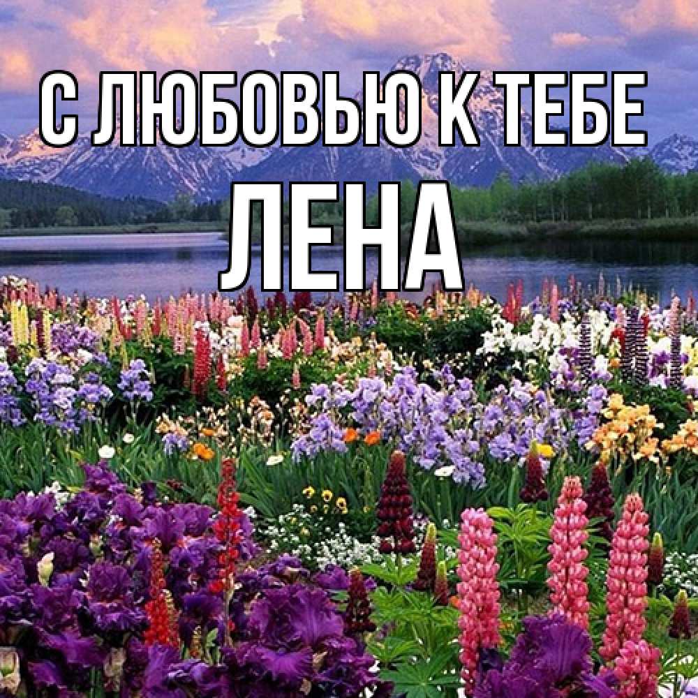 Открытка  с именем. лена, С любовью к тебе  
