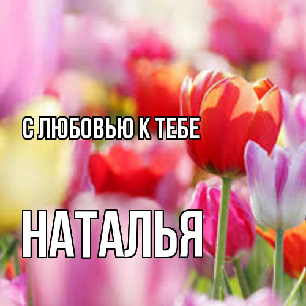 Открытка  с именем. Наталья, С любовью к тебе  